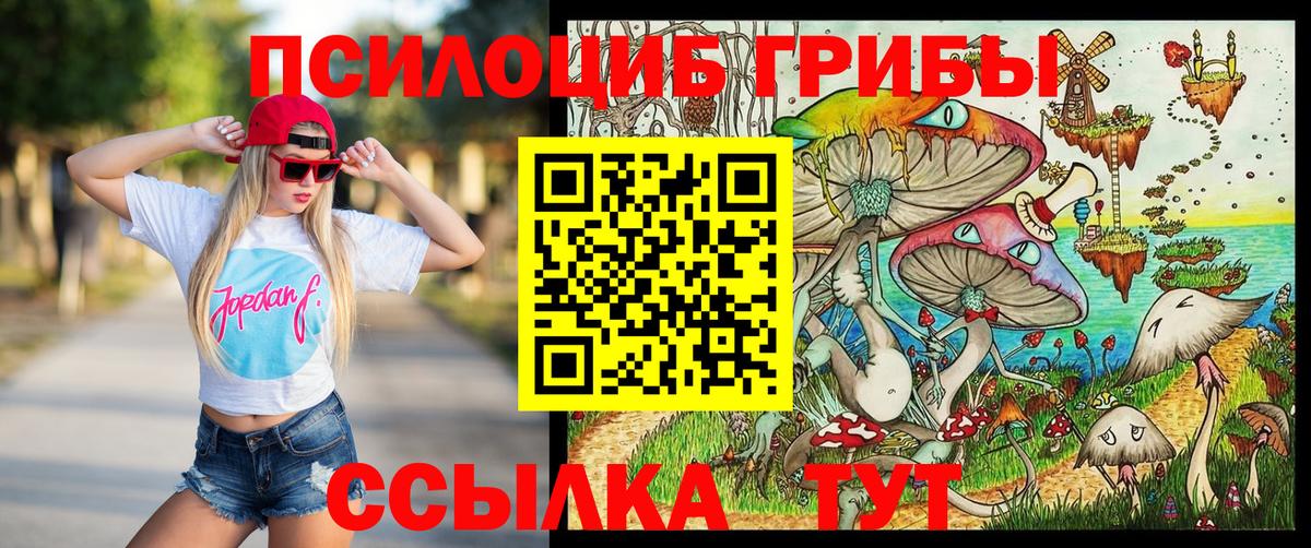Кудымкар  Галлюциногенные грибы GOLDEN TEACHER  Вход с VPN  Псилоцибиновые грибы Psilocybe 