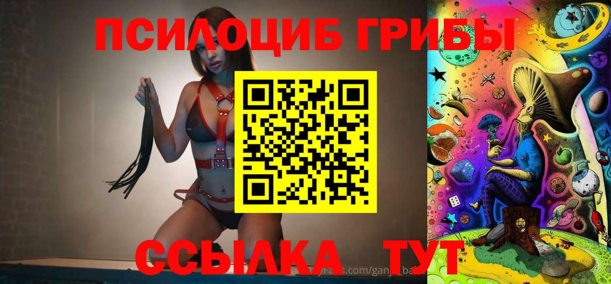 Псилоцибиновые грибы мицелий Кудымкар